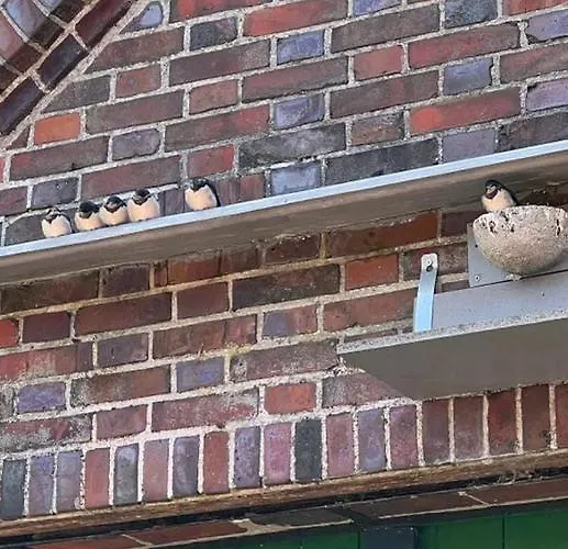 Schwalbenhof Apartment